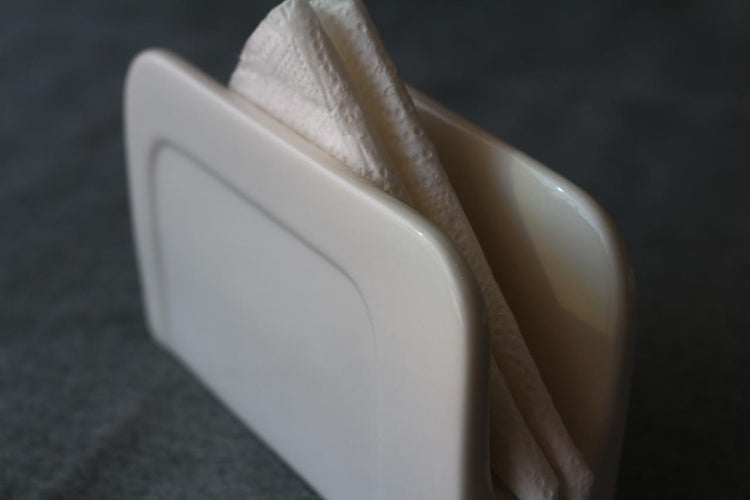 Tissue holder